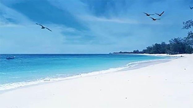 Pemandangan Pantai Puru Kambera