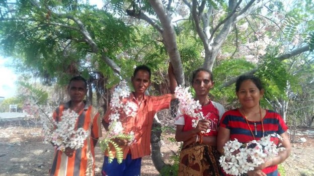 Bunga Sakura Sumba